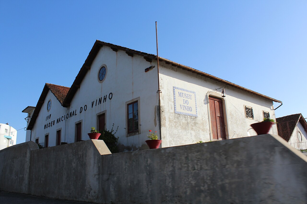 Alcobaça Wine Museum · Archive photograph